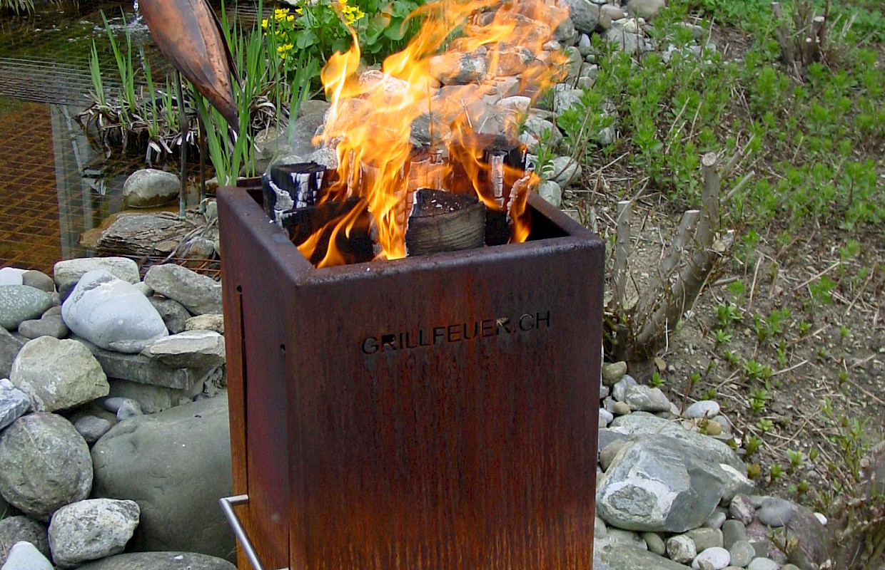 Bild Grillfeuer #2